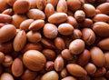 Organic Argan Oil